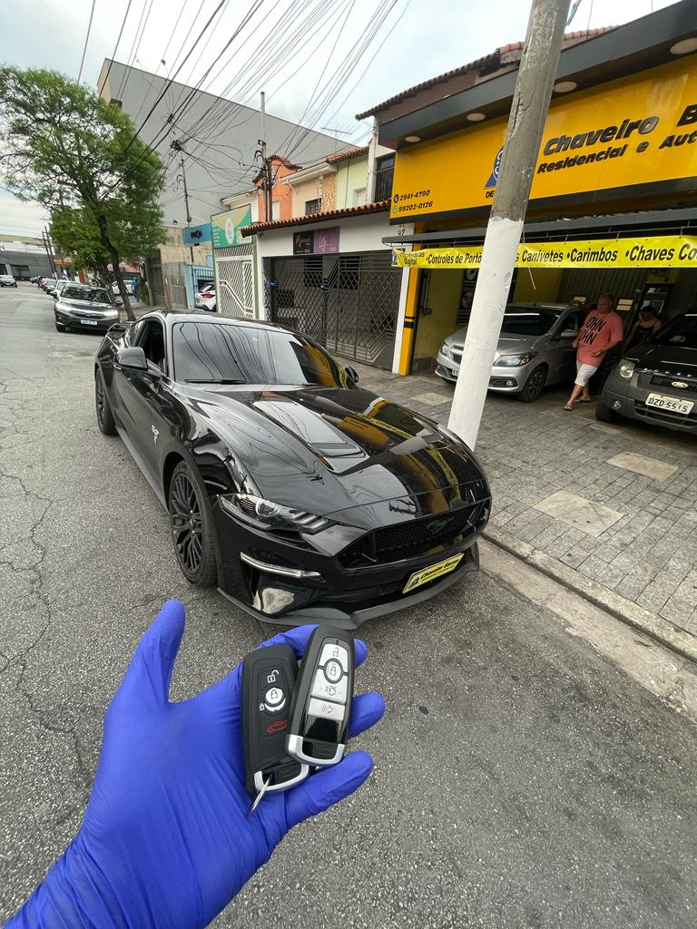 imagem_2025-03-05_083052355